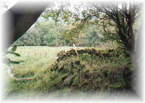 one of the stonebunkers