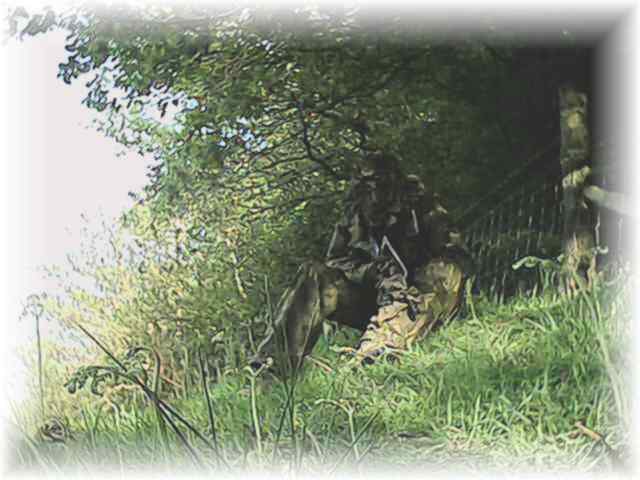 Spectre by the fenceline