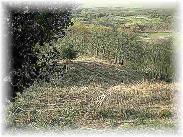 scene of the ambush