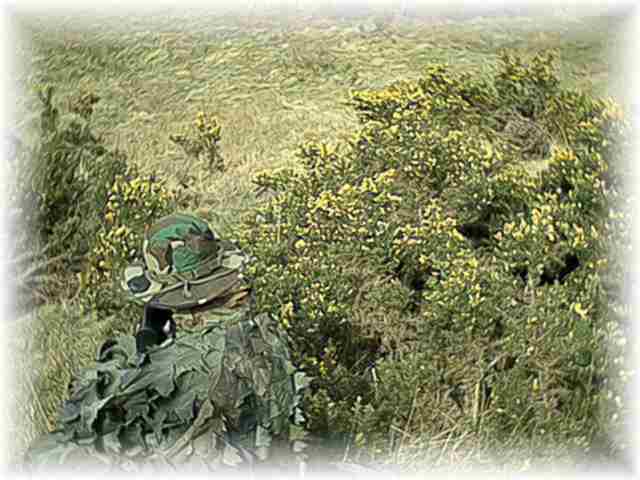 MADMIKE and CREASER hold the gorse