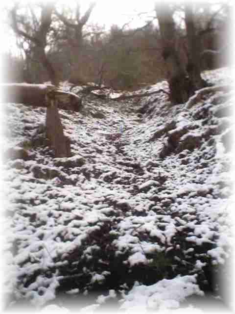 snowy terrain