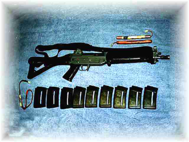 SIG 551