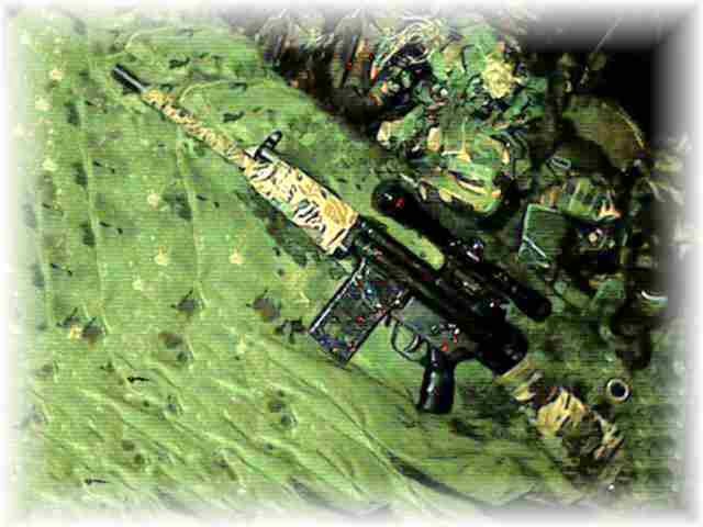 LMG or Sniper Rifle?