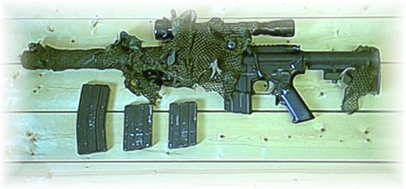 M4SR (sniper rifle)