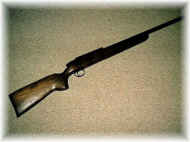 APS SPORTER