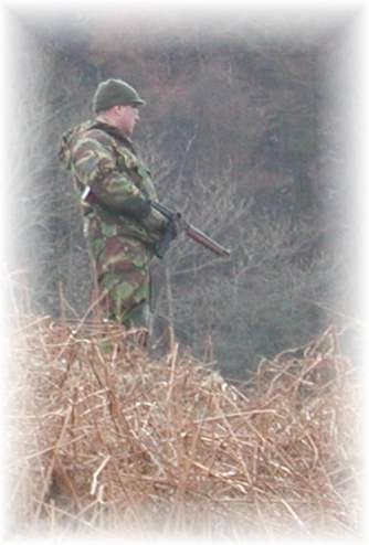 Sentry on the hill