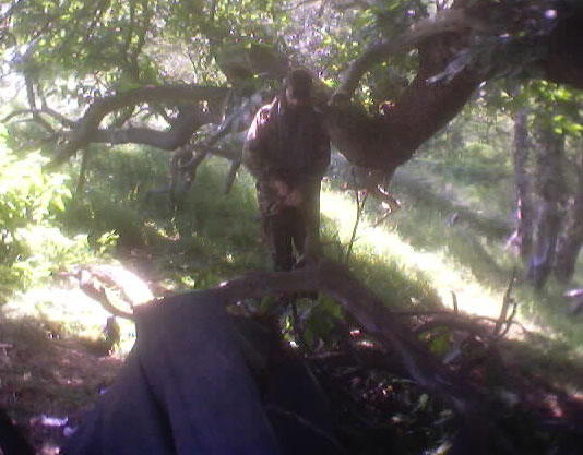 LEMMING in camp