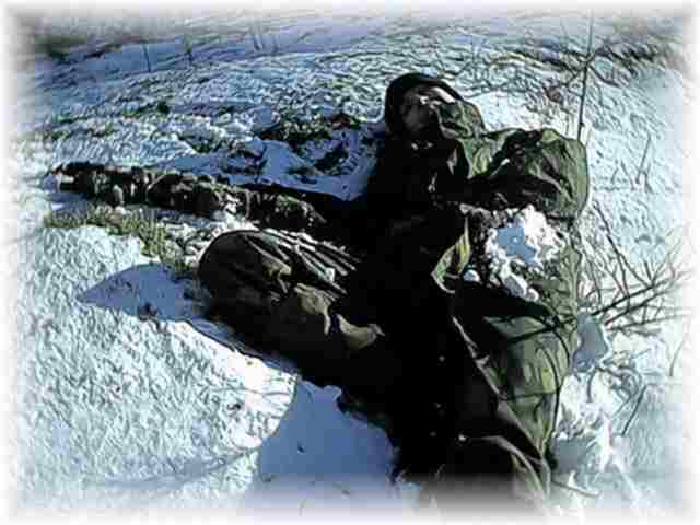 LonePig in the snow