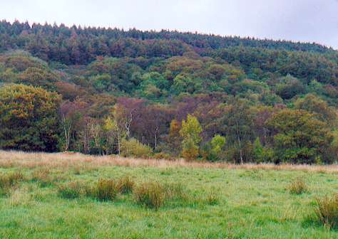 120 acre MAINLAND