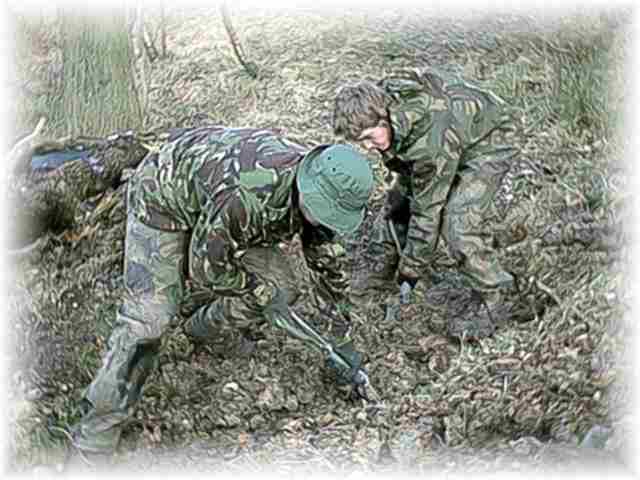 TMF love to dig...