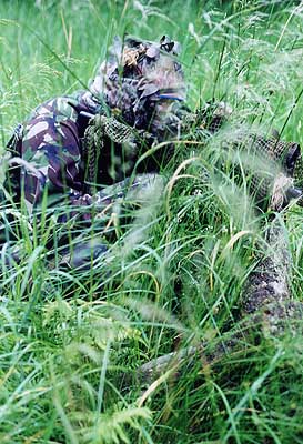 In the grass..