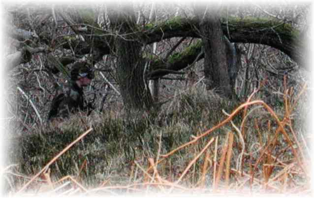 Mike checks the treeline