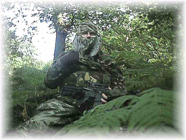 ambush player