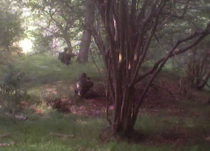 COVERT INSERTION (on foot)