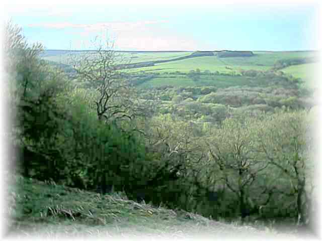 This Green and Pleasant Land