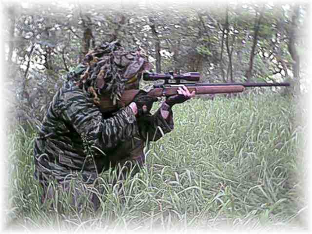 PAPABEAR loves Sniping