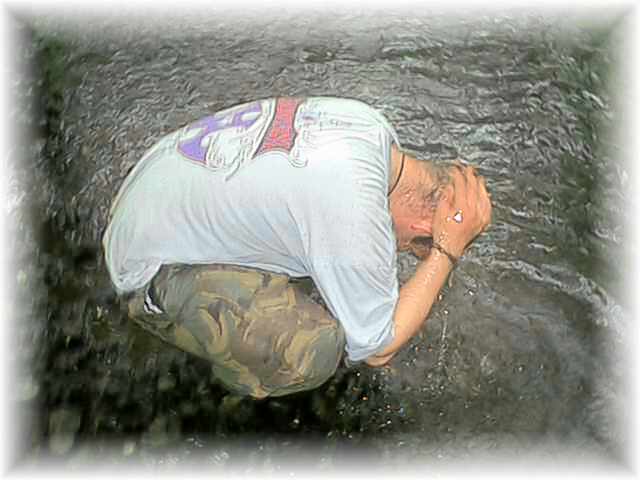 PAPABEAR cools down