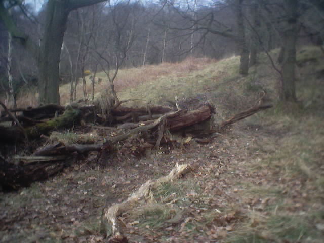 Pillbox, looking east