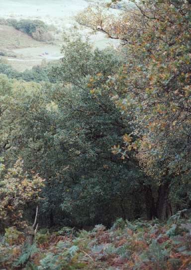 plateau view