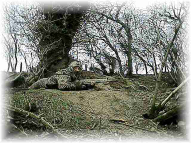 on the flank