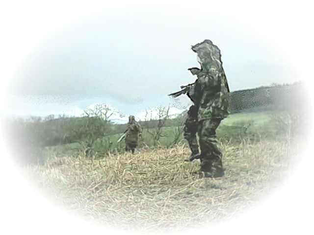 Reinforcements