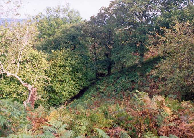 View downhill from the killing zone