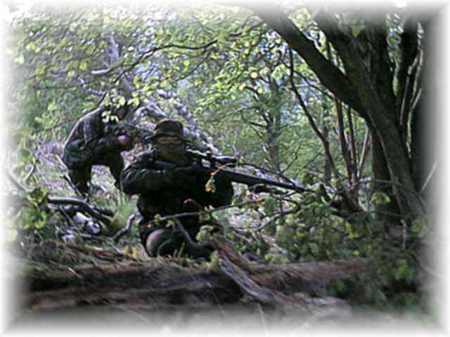 Stinger's sniper hide