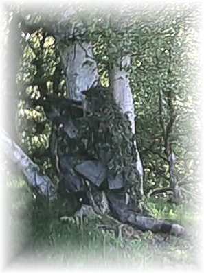 Wraith in the ambush