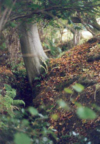 the trench leading to BEAR'S BUNKER