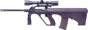 STYER AUG (civilian)