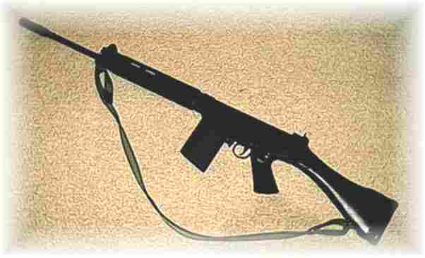 the full rifle (nearly an SLR)