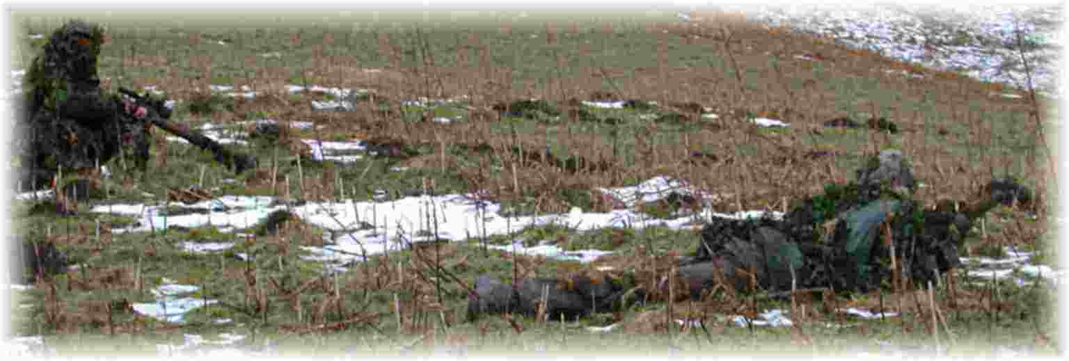 AIRSOFT SNIPER HIDE