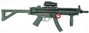 MP5 R.A.S.