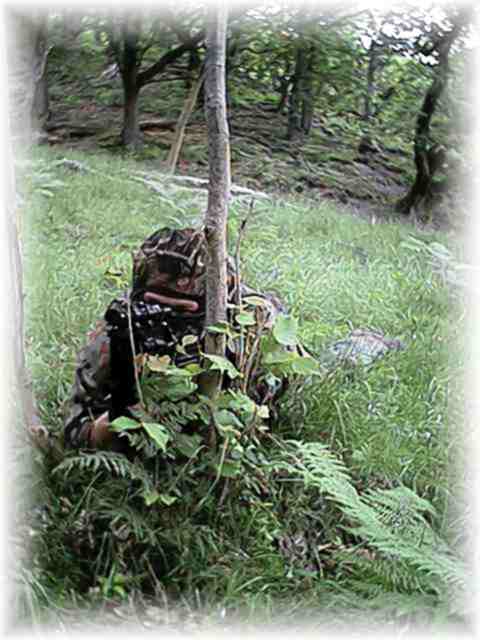 on sentry duty.......again!