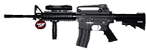 M4A1 R.I.S.