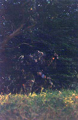 typical stalking crouch.......