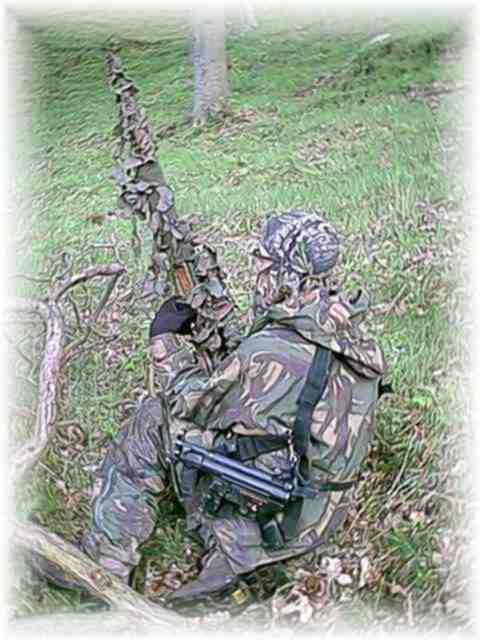 Sniper on stag.