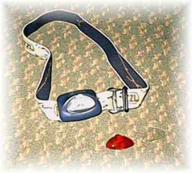 click here for accessory reviews