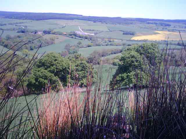 Looking out over LOWNORTH