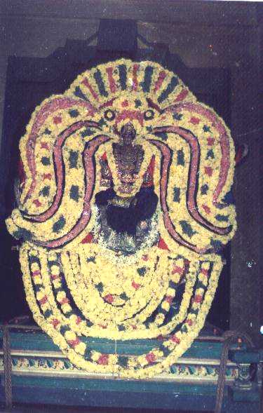 guru.jpg (41609 bytes)