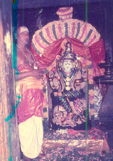 pic1.jpg (305447 bytes)