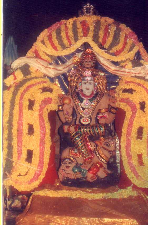 srn12.JPG (60442 bytes)