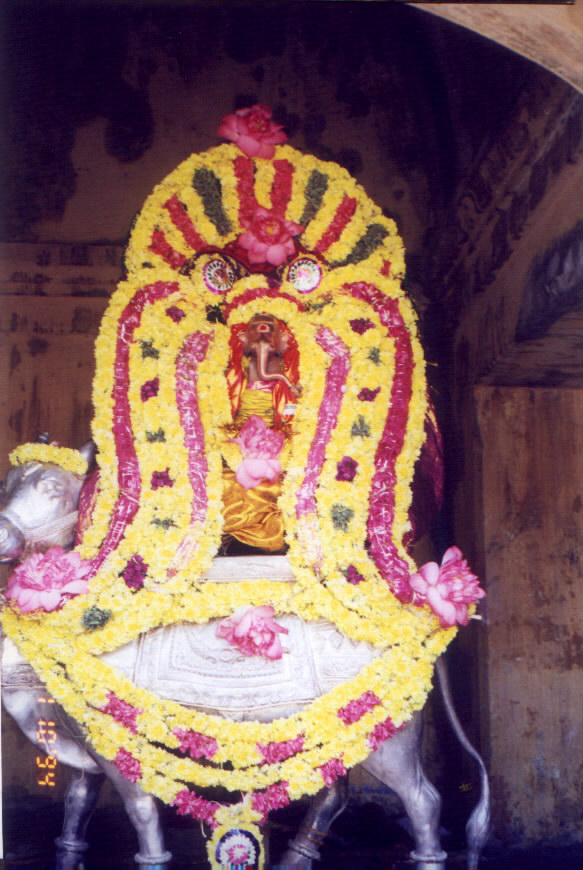 srn7.JPG (160479 bytes)