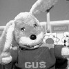 Three bunny hops and a magic button for Gushoneybungirl's Website please!!