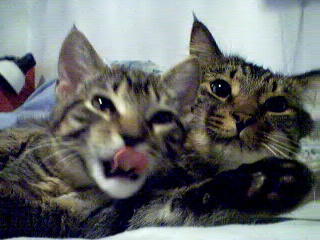 pair1