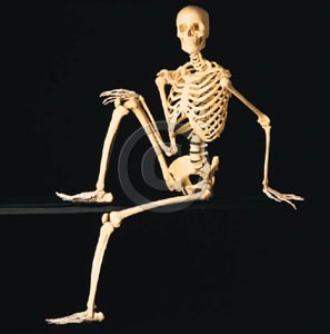 I have a bone to pick with coach Gut