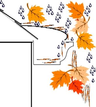 Typical gutter guard with needles