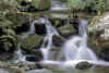 FLOWING.jpg (1278169 bytes)