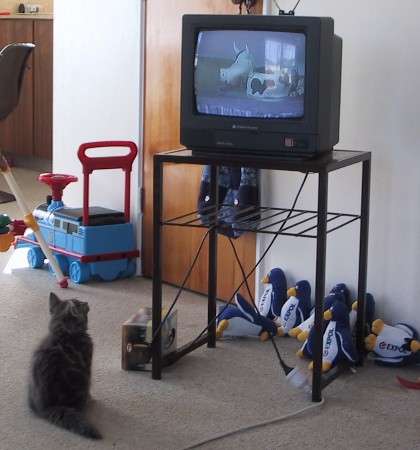 Eric watches TV