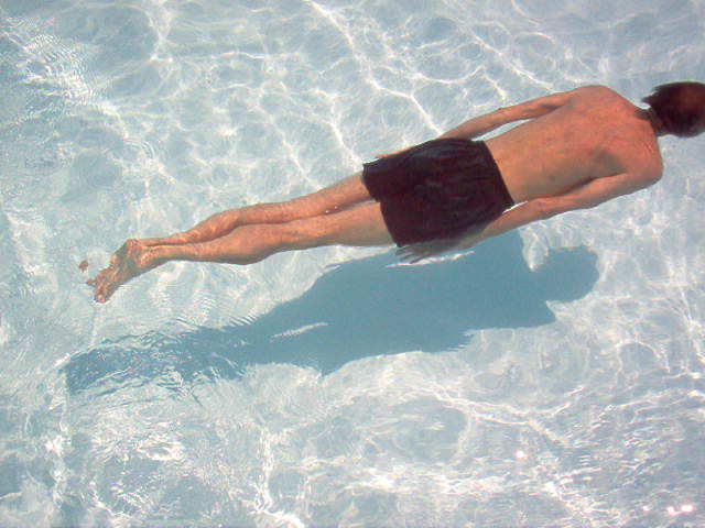 Nadando en la Piscina de la Vida